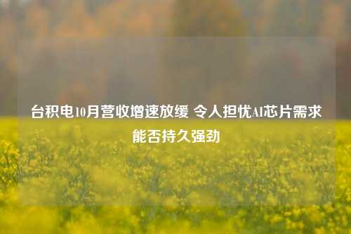 台积电10月营收增速放缓 令人担忧AI芯片需求能否持久强劲-第1张图片-体育新闻