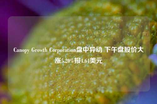 Canopy Growth Corporation盘中异动 下午盘股价大涨5.20%报4.64美元-第1张图片-体育新闻