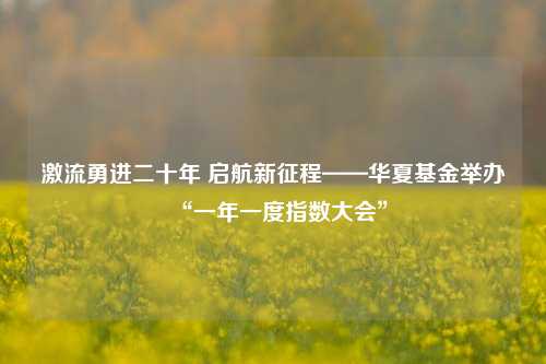 激流勇进二十年 启航新征程——华夏基金举办“一年一度指数大会”-第1张图片-体育新闻