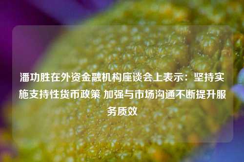 潘功胜在外资金融机构座谈会上表示：坚持实施支持性货币政策 加强与市场沟通不断提升服务质效-第1张图片-体育新闻