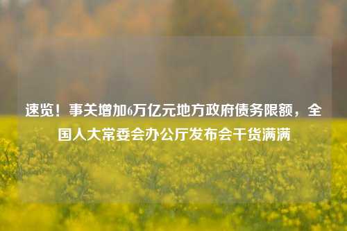 速览！事关增加6万亿元地方政府债务限额，全国人大常委会办公厅发布会干货满满-第1张图片-体育新闻