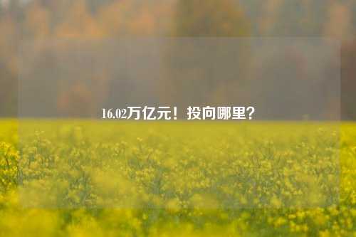 16.02万亿元！投向哪里？-第1张图片-体育新闻