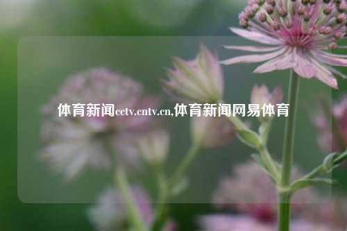 体育新闻cctv.cntv.cn,体育新闻网易体育-第1张图片-体育新闻