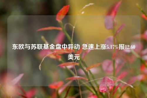 东欧与苏联基金盘中异动 急速上涨5.17%报12.60美元-第1张图片-体育新闻