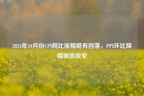 2024年10月份CPI同比涨幅略有回落，PPI环比降幅明显收窄-第1张图片-体育新闻