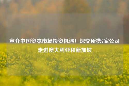 宣介中国资本市场投资机遇！深交所携7家公司走进澳大利亚和新加坡-第1张图片-体育新闻