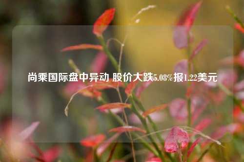 尚乘国际盘中异动 股价大跌5.08%报1.22美元-第1张图片-体育新闻