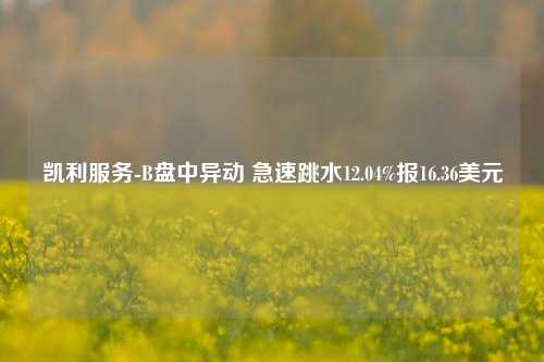 凯利服务-B盘中异动 急速跳水12.04%报16.36美元-第1张图片-体育新闻