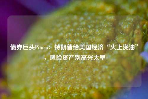 债券巨头Pimco：特朗普给美国经济“火上浇油”，风险资产别高兴太早-第1张图片-体育新闻