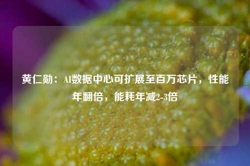 黄仁勋：AI数据中心可扩展至百万芯片，性能年翻倍，能耗年减2-3倍-第1张图片-体育新闻