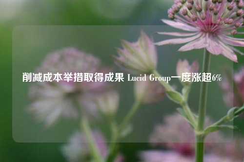 削减成本举措取得成果 Lucid Group一度涨超6%-第1张图片-体育新闻