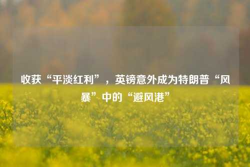 收获“平淡红利”，英镑意外成为特朗普“风暴”中的“避风港”-第1张图片-体育新闻