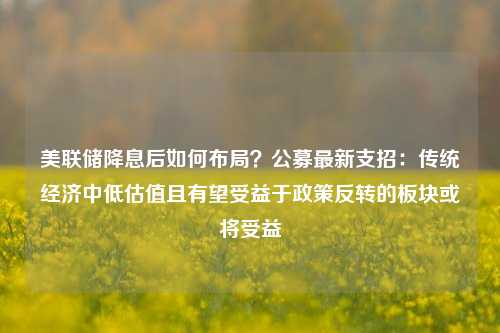 美联储降息后如何布局？公募最新支招：传统经济中低估值且有望受益于政策反转的板块或将受益-第1张图片-体育新闻