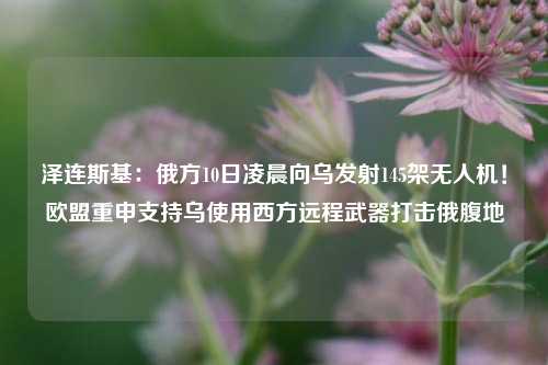 泽连斯基：俄方10日凌晨向乌发射145架无人机！欧盟重申支持乌使用西方远程武器打击俄腹地-第1张图片-体育新闻