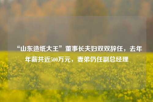 “山东造纸大王”董事长夫妇双双辞任，去年年薪共近500万元，妻弟仍任副总经理-第1张图片-体育新闻