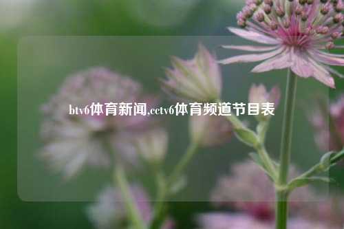 btv6体育新闻,cctv6体育频道节目表-第1张图片-体育新闻