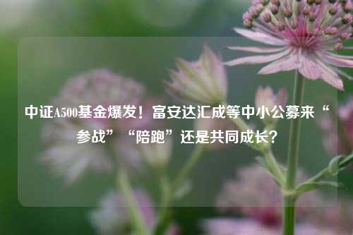 中证A500基金爆发！富安达汇成等中小公募来“参战”“陪跑”还是共同成长？-第1张图片-体育新闻