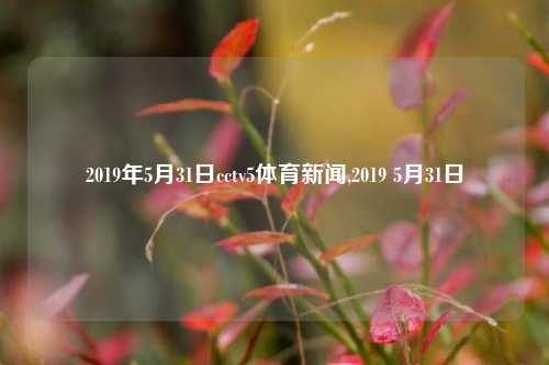 2019年5月31日cctv5体育新闻,2019 5月31日-第1张图片-体育新闻