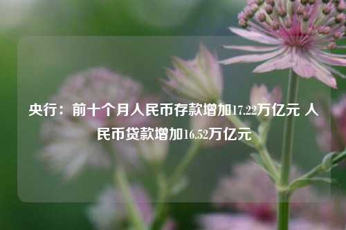 央行：前十个月人民币存款增加17.22万亿元 人民币贷款增加16.52万亿元-第1张图片-体育新闻