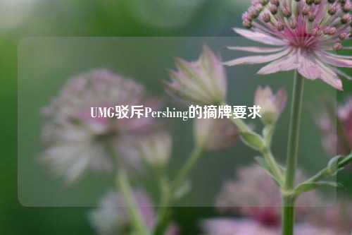 UMG驳斥Pershing的摘牌要求-第1张图片-体育新闻