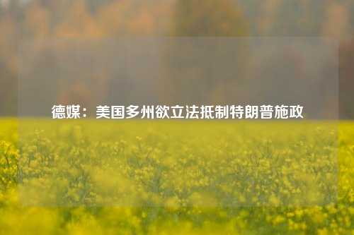 德媒：美国多州欲立法抵制特朗普施政-第1张图片-体育新闻