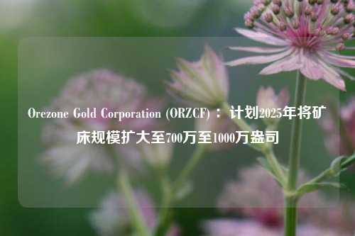 Orezone Gold Corporation (ORZCF) ：计划2025年将矿床规模扩大至700万至1000万盎司-第1张图片-体育新闻