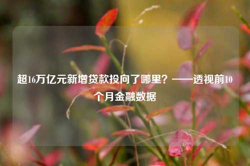 超16万亿元新增贷款投向了哪里？——透视前10个月金融数据-第1张图片-体育新闻