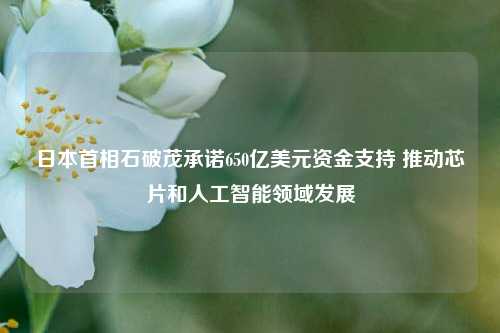 日本首相石破茂承诺650亿美元资金支持 推动芯片和人工智能领域发展-第1张图片-体育新闻