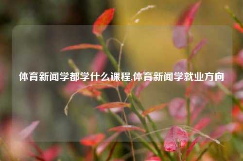 体育新闻学都学什么课程,体育新闻学就业方向-第1张图片-体育新闻