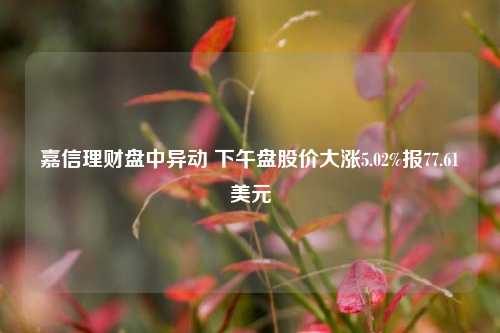 嘉信理财盘中异动 下午盘股价大涨5.02%报77.61美元-第1张图片-体育新闻