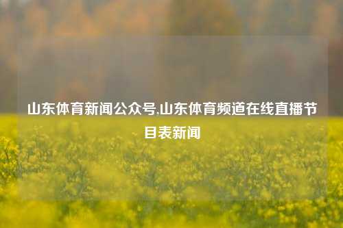 山东体育新闻公众号,山东体育频道在线直播节目表新闻-第1张图片-体育新闻