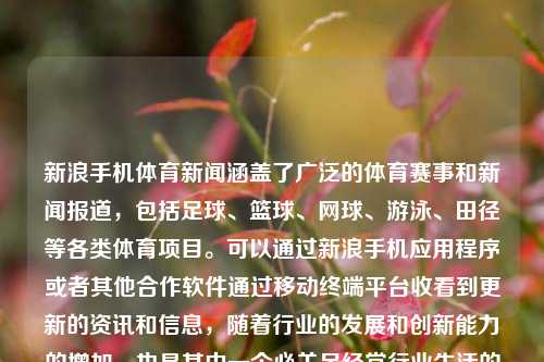 新浪手机体育新闻涵盖了广泛的体育赛事和新闻报道，包括足球、篮球、网球、游泳、田径等各类体育项目。可以通过新浪手机应用程序或者其他合作软件通过移动终端平台收看到更新的资讯和信息，随着行业的发展和创新能力的增加，也是其中一个必关足经常行业生活的样貌的体育资讯应用平台。新浪手机体育新闻新浪手机体育新闻欧洲杯陈晓，新浪手机体育新闻，全能性体新闻，拳拳覆盖体育生活，新浪手机体育新闻，全能体育资讯平台，覆盖生活各个角落-第1张图片-体育新闻