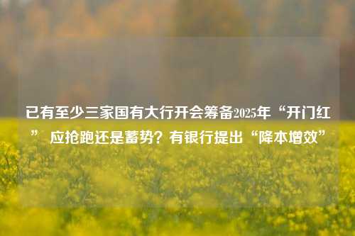 已有至少三家国有大行开会筹备2025年“开门红” 应抢跑还是蓄势？有银行提出“降本增效”-第1张图片-体育新闻