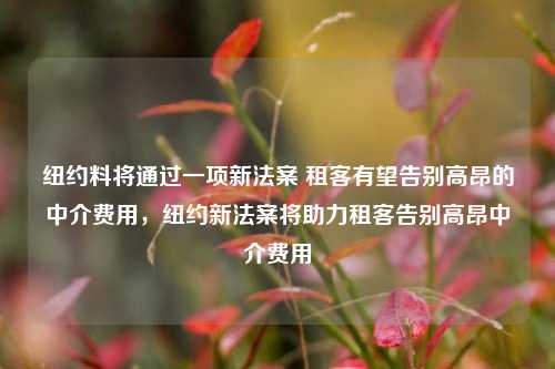 纽约料将通过一项新法案 租客有望告别高昂的中介费用，纽约新法案将助力租客告别高昂中介费用-第1张图片-体育新闻