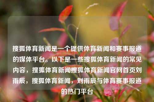 搜狐体育新闻是一个提供体育新闻和赛事报道的媒体平台。以下是一些搜狐体育新闻的常见内容，搜狐体育新闻搜狐体育新闻官网首页刘雨辰，搜狐体育新闻，刘雨辰与体育赛事报道的热门平台，搜狐体育新闻，刘雨辰与热门体育赛事报道的权威平台-第1张图片-体育新闻