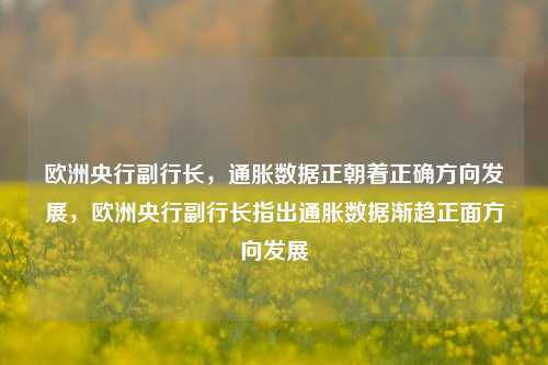 欧洲央行副行长，通胀数据正朝着正确方向发展，欧洲央行副行长指出通胀数据渐趋正面方向发展-第1张图片-体育新闻