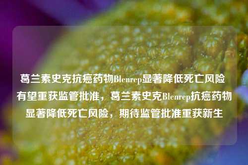 葛兰素史克抗癌药物Blenrep显著降低死亡风险 有望重获监管批准，葛兰素史克Blenrep抗癌药物显著降低死亡风险，期待监管批准重获新生-第1张图片-体育新闻