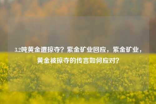 3.2吨黄金遭掠夺？紫金矿业回应，紫金矿业，黄金被掠夺的传言如何应对？-第1张图片-体育新闻