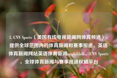 1. CNN Sports（美国有线电视新闻网体育频道），提供全球范围内的体育新闻和赛事报道。英语体育新闻网站英语体育新闻appbilibili，CNN Sports，全球体育新闻与赛事报道权威平台，CNN Sports，全球体育新闻与赛事报道权威平台-第1张图片-体育新闻