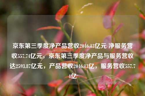 京东第三季度净产品营收2046.13亿元 净服务营收557.74亿元，京东第三季度净产品与服务营收达2593.87亿元，产品营收2046.13亿，服务营收557.74亿-第1张图片-体育新闻