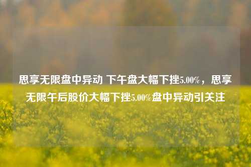 思享无限盘中异动 下午盘大幅下挫5.00%，思享无限午后股价大幅下挫5.00%盘中异动引关注-第1张图片-体育新闻