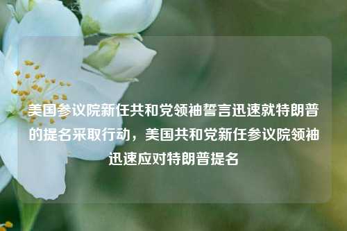 美国参议院新任共和党领袖誓言迅速就特朗普的提名采取行动，美国共和党新任参议院领袖迅速应对特朗普提名-第1张图片-体育新闻