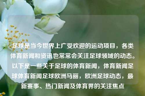 足球是当今世界上广受欢迎的运动项目，各类体育新闻和资讯也常常会关注足球领域的动态。以下是一些关于足球的体育新闻，体育新闻足球体育新闻足球欧洲马丽，欧洲足球动态，最新赛事、热门新闻及体育界的关注焦点，全球关注，足球动态及热门体育新闻汇总-第1张图片-体育新闻