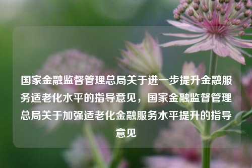 国家金融监督管理总局关于进一步提升金融服务适老化水平的指导意见，国家金融监督管理总局关于加强适老化金融服务水平提升的指导意见-第1张图片-体育新闻