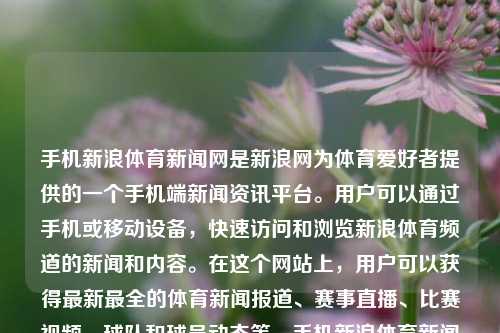 手机新浪体育新闻网是新浪网为体育爱好者提供的一个手机端新闻资讯平台。用户可以通过手机或移动设备，快速访问和浏览新浪体育频道的新闻和内容。在这个网站上，用户可以获得最新最全的体育新闻报道、赛事直播、比赛视频、球队和球员动态等。手机新浪体育新闻网手机体育新闻新浪体育罗马尼亚，手机新浪体育新闻网，罗马尼亚体育新闻快讯平台，手机新浪体育新闻网，罗马尼亚体育新闻快讯平台-第1张图片-体育新闻