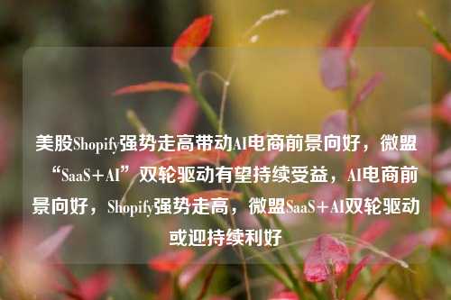 美股Shopify强势走高带动AI电商前景向好，微盟“SaaS+AI”双轮驱动有望持续受益，AI电商前景向好，Shopify强势走高，微盟SaaS+AI双轮驱动或迎持续利好-第1张图片-体育新闻