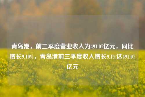 青岛港，前三季度营业收入为491.07亿元，同比增长9.10%，青岛港前三季度收入增长9.1%达491.07亿元-第1张图片-体育新闻