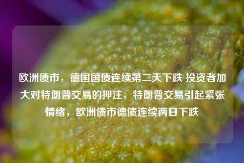 欧洲债市，德国国债连续第二天下跌 投资者加大对特朗普交易的押注，特朗普交易引起紧张情绪，欧洲债市德债连续两日下跌-第1张图片-体育新闻