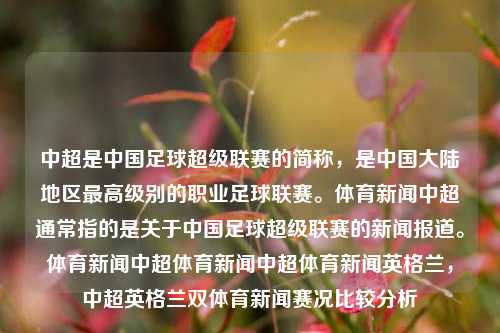 中超是中国足球超级联赛的简称，是中国大陆地区最高级别的职业足球联赛。体育新闻中超通常指的是关于中国足球超级联赛的新闻报道。体育新闻中超体育新闻中超体育新闻英格兰，中超英格兰双体育新闻赛况比较分析，中超与英格兰赛况比较分析，体育新闻的深度探讨-第1张图片-体育新闻