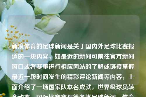 新浪体育的足球新闻是关于国内外足球比赛报道的一块内容，如最近的新闻可前往官方新闻窗口或者赛事进行相应网站的了解或链接掌握最近一段时间发生的精彩评论新闻等内容，上面介绍了一场国家队本名成就，世界级球员转会动态，国际比赛赛程等各类足球新闻。体育新闻足球新浪体育新闻新浪手机版腾讯云，新浪体育足球新闻动态与转会风云赛事资讯大放送，新浪体育，足球新闻与转会风云速递-第1张图片-体育新闻